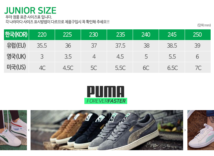 Giày Puma Smash V2 Leather Perf 365170 11